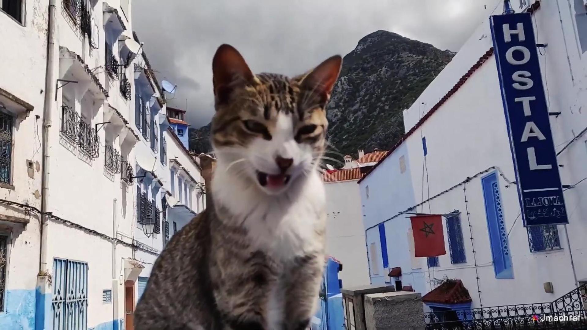 La Joya Hostel Chefchaouen